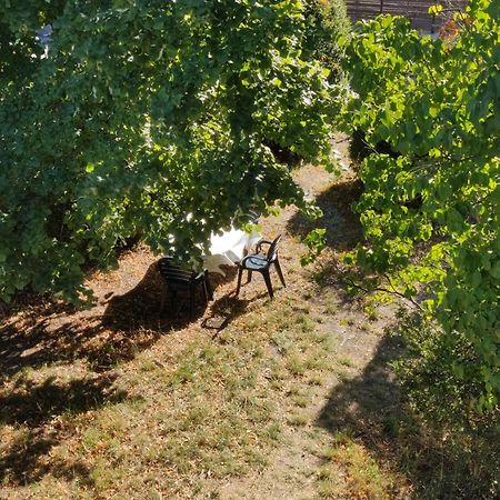 Rendez-Vous Sous Le Tilleul, En Cevennes. Molieres-Cavaillac Kültér fotó